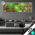 Led Glasbild Tautropfen Auf Moos Panorama Produktvorschau