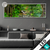 Led Glasbild Tropischer Dschungel Panorama Produktvorschau