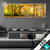 Led Glasbild Waldlandschaft Im Herbst Panorama Produktvorschau