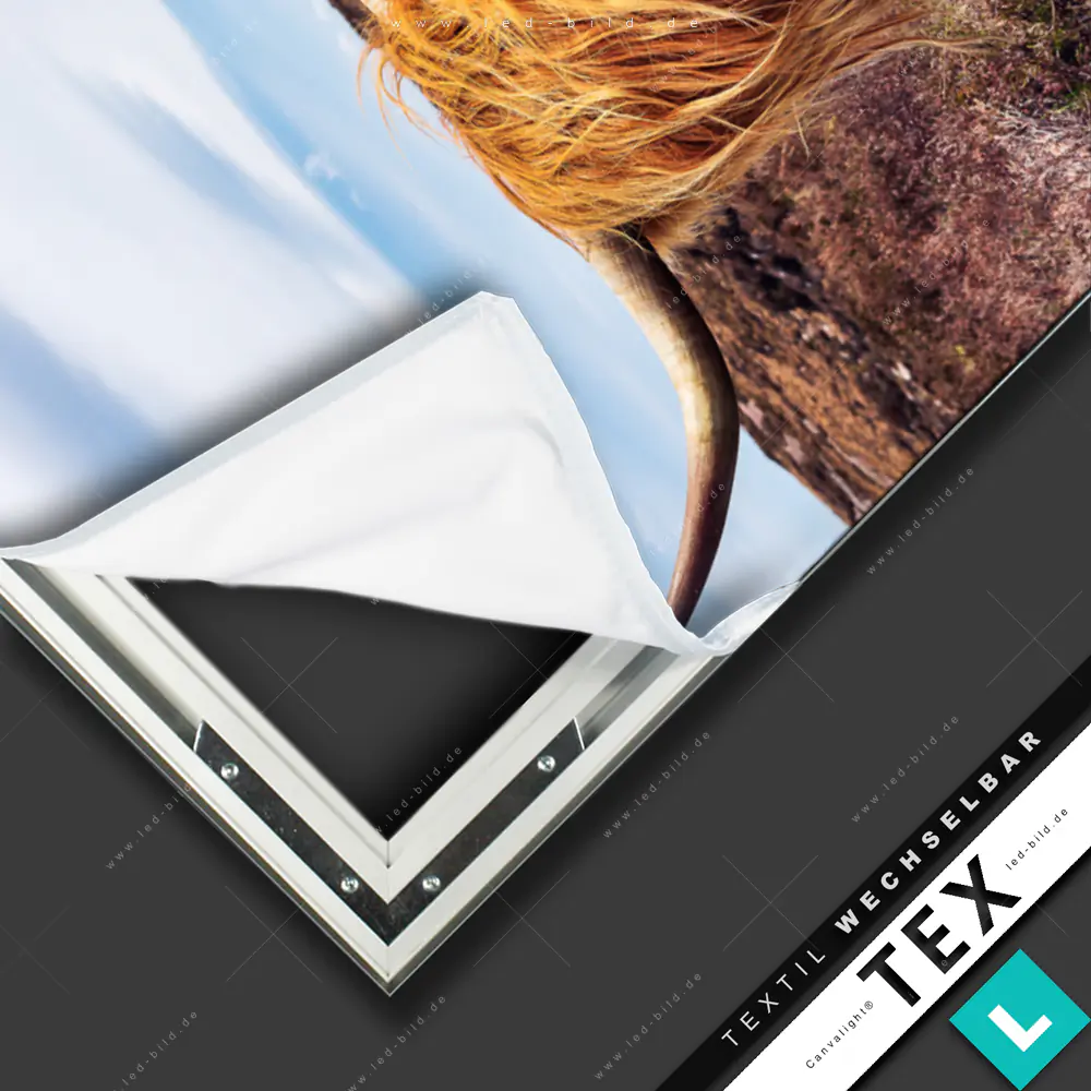 Textilrahmen-Bild Canvalight® TEX Bergwiese mit Rind | Tierwelt ...
