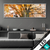 Wechsel Acrylglas Alte Buche Panorama Produktvorschau