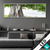 Wechsel Acrylglas Alte Linde Auf Sommerwiese Panorama Produktvorschau