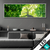 Wechsel Acrylglas Baum Im Wald Panorama Produktvorschau