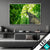 Wechsel Acrylglas Baum Im Wald Querformat Produktvorschau