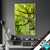 Wechsel Acrylglas Baumkrone Einer Buche Hochformat Produktvorschau
