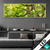 Wechsel Acrylglas Baumkrone Einer Buche Panorama Produktvorschau