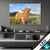 Wechsel Acrylglas Hochland Bulle Querformat Produktvorschau
