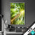 Wechsel Acrylglas Im Frischen Gruenen Wald Hochformat Produktvorschau