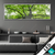 Wechsel Acrylglas Imposanter Baum Panorama Produktvorschau