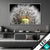 Wechsel Acrylglas Pusteblume No 10 Querformat Produktvorschau
