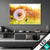 Wechsel Acrylglas Pusteblume No 8 Querformat Produktvorschau