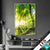 Wechsel Acrylglas Sonnenstrahlen Im Dichten Wald Hochformat Produktvorschau