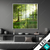 Wechsel Acrylglas Sonniger Morgen Im Wald Quadrat Produktvorschau