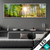 Wechsel Acrylglas Sonniger Wald Panorama Produktvorschau