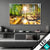 Wechsel Acrylglas Sonniger Wald Querformat Produktvorschau
