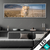 Wechsel Acrylglas Spiegelbild Loewe Loewenjunges Panorama Produktvorschau