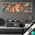 Wechsel Acrylglas Stolzer Blick Des Loewen Panorama Produktvorschau