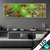 Wechsel Acrylglas Tautropfen Auf Moos Panorama Produktvorschau