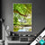 Wechsel Acrylglas Wald Mit Bach Bei Sonnenschein Hochformat Produktvorschau