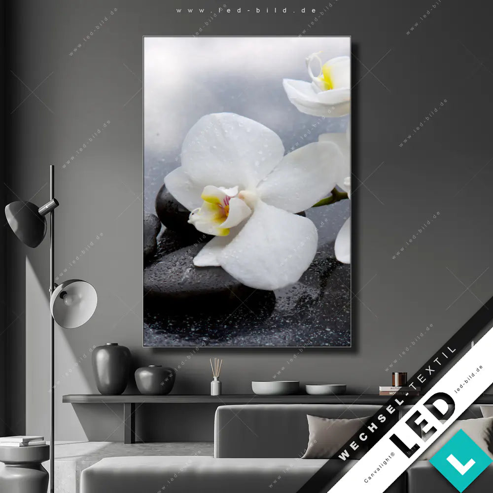 künstliche orchideen mit led LED-Wechsel-Bild Canvalight® TEX ✓ weiße Orchideenblüten | Blumen -  Botanik, Buddha - Feng Shui